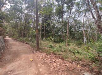 കൃഷി ഭൂമി വില്പനയ്ക്ക് Pathanamthitta, Mallappally, Nedungadappally, Marickal