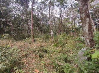 കൃഷി ഭൂമി വില്പനയ്ക്ക് Pathanamthitta, Mallappally, Nedungadappally, Marickal