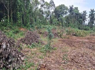 Industrial Land for Lease in Ernakulam, Perumbavoor, Allapra, Kuttipadam