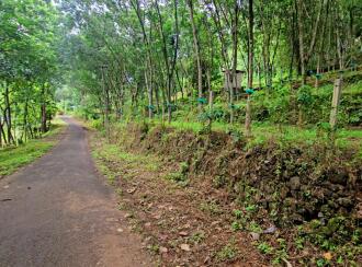 Agricultural Land for SalePathanamthitta, Pathanamthitta, Thonniamala