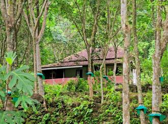 Agricultural Land for Sale in Pathanamthitta, Pathanamthitta, Thonniamala, Thonniamala Anganavadi