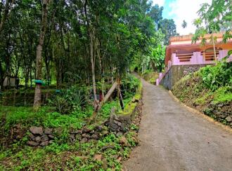Agricultural Land for Sale in Pathanamthitta, Pathanamthitta, Thonniamala, Thonniamala Anganavadi