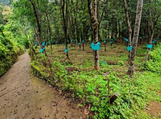 Agricultural Land for Sale in Pathanamthitta, Pathanamthitta, Thonniamala, Thonniamala Anganavadi