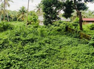 Residential House Villa for Sale in Kannur, Kannur, Eachur, Panniyodu - Near Panniyodu Bridge