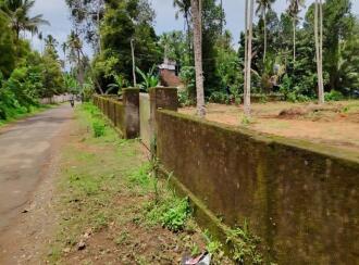 Residential Land for Sale in Thrissur, Chalakudy, Pariyaram, kuttikkadu