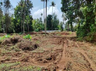 Residential Land for Sale in Thrissur, Chalakudy, Pariyaram, kuttikkadu