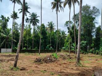 Residential Land for Sale in Thrissur, Chalakudy, Pariyaram, kuttikkadu