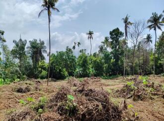 Residential Land for Sale in Thrissur, Chalakudy, Pariyaram, kuttikkadu