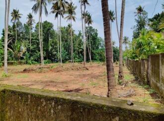 Residential Land for Sale in Thrissur, Chalakudy, Pariyaram, kuttikkadu