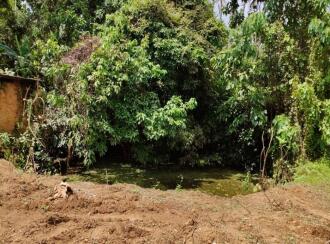 Residential Land for Sale in Thrissur, Chalakudy, Pariyaram, kuttikkadu