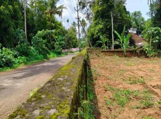 Residential Land for Sale in Thrissur, Chalakudy, Pariyaram, kuttikkadu
