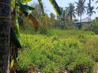 Residential Land for Sale in Kottayam, Kumarakom, Cheepunkal, Kaipuzhamuttu bridge
