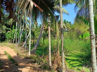 Residential Land for Sale in Kottayam, Kumarakom, Cheepunkal, Kaipuzhamuttu bridge
