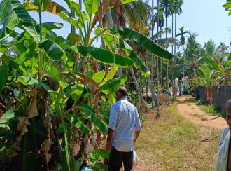 Residential Land for Sale in Kottayam, Kumarakom, Cheepunkal, Kaipuzhamuttu bridge