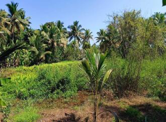 Residential Land for Sale in Kottayam, Kumarakom, Cheepunkal, Kaipuzhamuttu bridge
