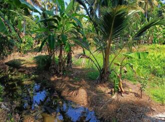 Residential Land for Sale in Kottayam, Kumarakom, Cheepunkal, Kaipuzhamuttu bridge