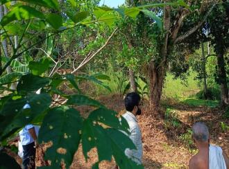 Residential Land for Sale in Kottayam, Kumarakom, Cheepunkal, Kaipuzhamuttu bridge