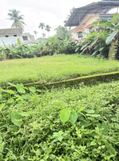 Residential Land for Sale in Thrissur, Irinjalakuda, Vellangallur, Thuruthumal thara road