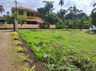 Residential Land for Sale in Pathanamthitta, Thiruvalla, Kumbanad, near OEM Residential High School