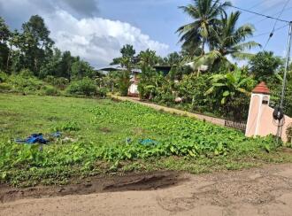 Residential Land for Sale in Pathanamthitta, Thiruvalla, Kumbanad, near OEM Residential High School