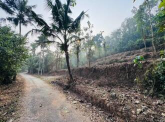 Residential Land for Sale in Kottayam, Pala, Cherpunkal, Thekkummury Gayathri Central School