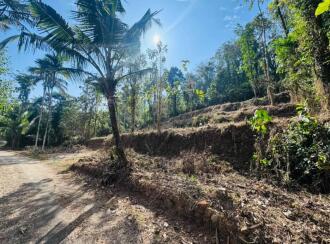 Residential Land for Sale in Kottayam, Pala, Cherpunkal, Thekkummury Gayathri Central School