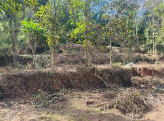 Residential Land for Sale in Kottayam, Pala, Cherpunkal, Thekkummury Gayathri Central School