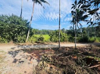 Residential Land for Sale in Kottayam, Pala, Cherpunkal, Thekkummury Gayathri Central School