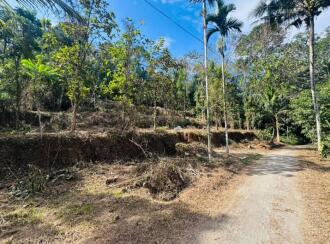Residential Land for Sale in Kottayam, Pala, Cherpunkal, Thekkummury Gayathri Central School