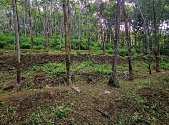 Residential Land for SalePathanamthitta, Ranni, Vechoochira