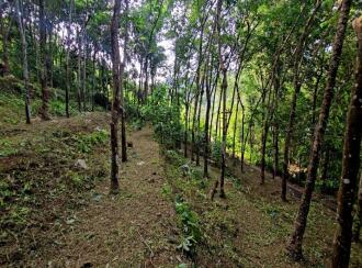 Residential Land for Sale in Pathanamthitta, Ranni, Vechoochira, Mannadisala, Paruva