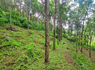 Residential Land for Sale in Pathanamthitta, Ranni, Vechoochira, Mannadisala, Paruva