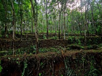 Residential Land for Sale in Pathanamthitta, Ranni, Vechoochira, Mannadisala, Paruva