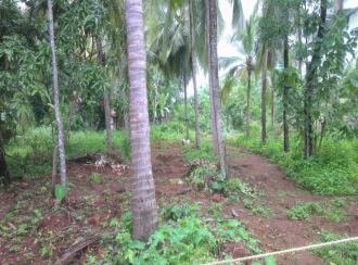 Residential Land for Sale in Kasargod, Kanhangad, Kanhangad, Vanyamapara, Chittari
