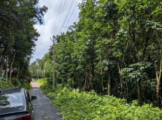 Agricultural Land for Sale in Pathanamthitta, Mallappally, Kalloopara, Iykarapady Cross Shrine to Sasthankal road