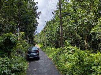 Agricultural Land for Sale in Pathanamthitta, Mallappally, Kalloopara, Iykarapady Cross Shrine to Sasthankal road