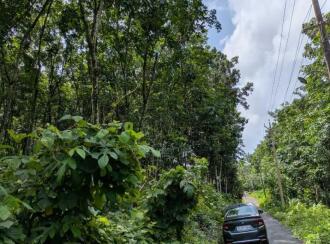 Agricultural Land for Sale in Pathanamthitta, Mallappally, Kalloopara, Iykarapady Cross Shrine to Sasthankal road
