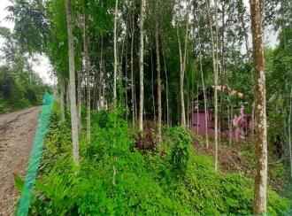 Residential Land for Sale in Pathanamthitta, Adoor, Thatta , Poathnaad junction, thatta adoor road