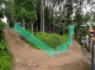 Residential Land for Sale in Pathanamthitta, Adoor, Thatta , Poathnaad junction, thatta adoor road