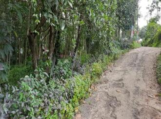 Residential Land for Sale in Pathanamthitta, Adoor, Thatta , Poathnaad junction, thatta adoor road