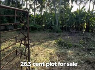 Residential Land for Sale in Thrissur, Thrissur, Kaiparambu, Kaiparambu Mother Teresa church