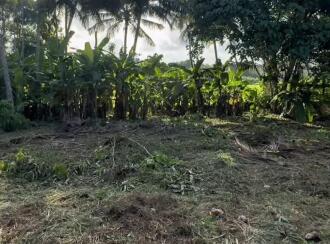 Residential Land for Sale in Thrissur, Thrissur, Kaiparambu, Kaiparambu Mother Teresa church