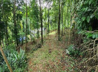 Residential House Villa for Sale in Kottayam, Pala, Kollappally, elivaly