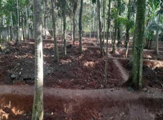 Residential Land for Sale in Trivandrum, Thiruvananthapuram, Vellayani, Kulangara road