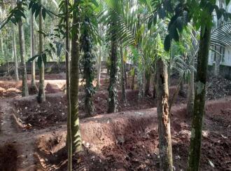 Residential Land for Sale in Trivandrum, Thiruvananthapuram, Vellayani, Kulangara road