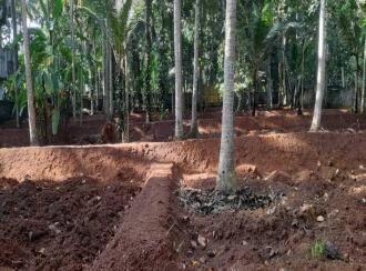 Residential Land for Sale in Trivandrum, Thiruvananthapuram, Vellayani, Kulangara road
