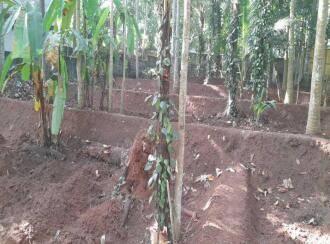 Residential Land for Sale in Trivandrum, Thiruvananthapuram, Vellayani, Kulangara road