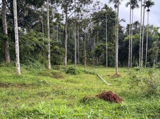 Residential Land for Sale in Wayanad, Meenangadi, Meenangadi, 2 km from Karapuzha Dam, Adventure Park & Garden