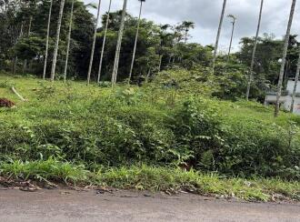 Residential Land for Sale in Wayanad, Meenangadi, Meenangadi, 2 km from Karapuzha Dam, Adventure Park & Garden
