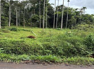 Residential Land for Sale in Wayanad, Meenangadi, Meenangadi, 2 km from Karapuzha Dam, Adventure Park & Garden